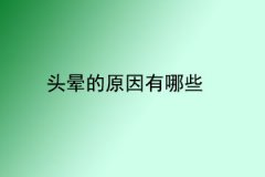 <b>头晕的原因有哪些</b>