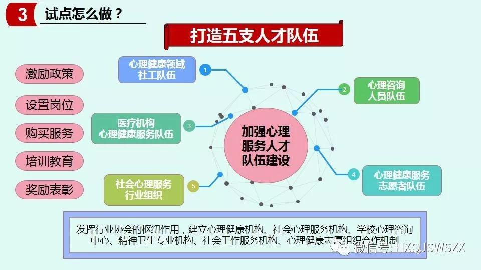 试点怎么做？打造五支人才队伍