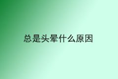 <b>总是头晕什么原因</b>