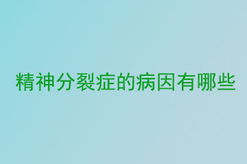 精神分裂症的病因有哪些